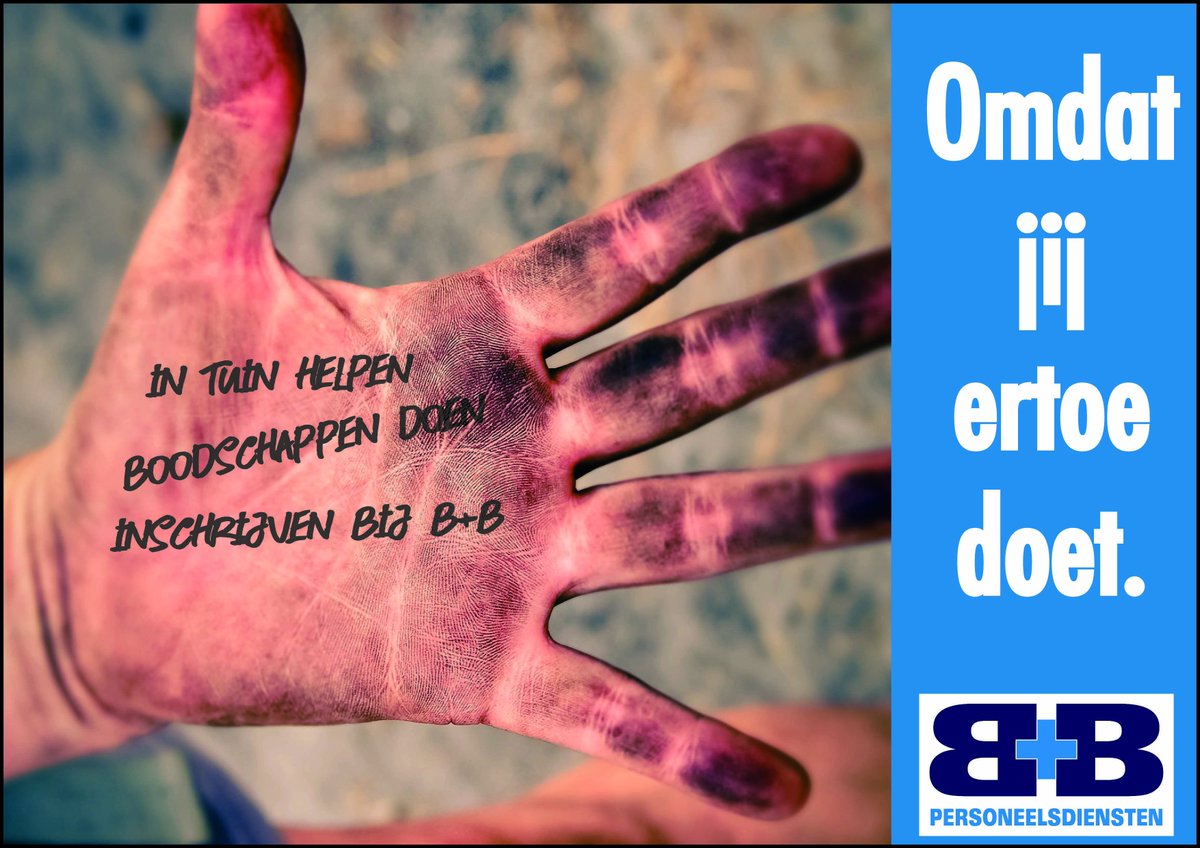 B+B Meppel tweet media