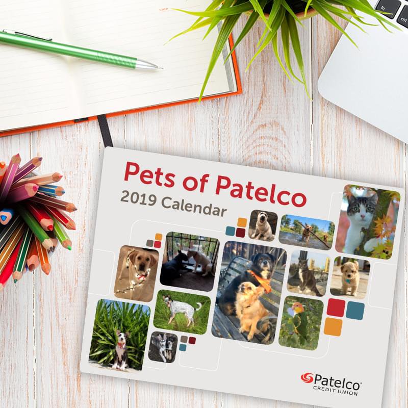 Winning Photos For 2021 Patelco Pet Calendar Calendar Nov 2021