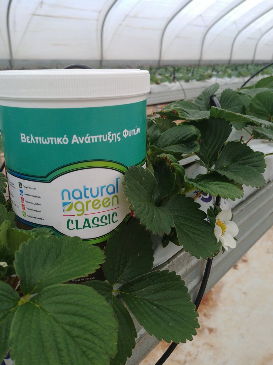 renos_theo's tweet photo. Find the way for healthy production via @iqcrops .....it'all about FOOD...@MyUltraLife @iqcrops @E_Drimtzias @FraoulaBest https://t.co/GHVtq3qnId