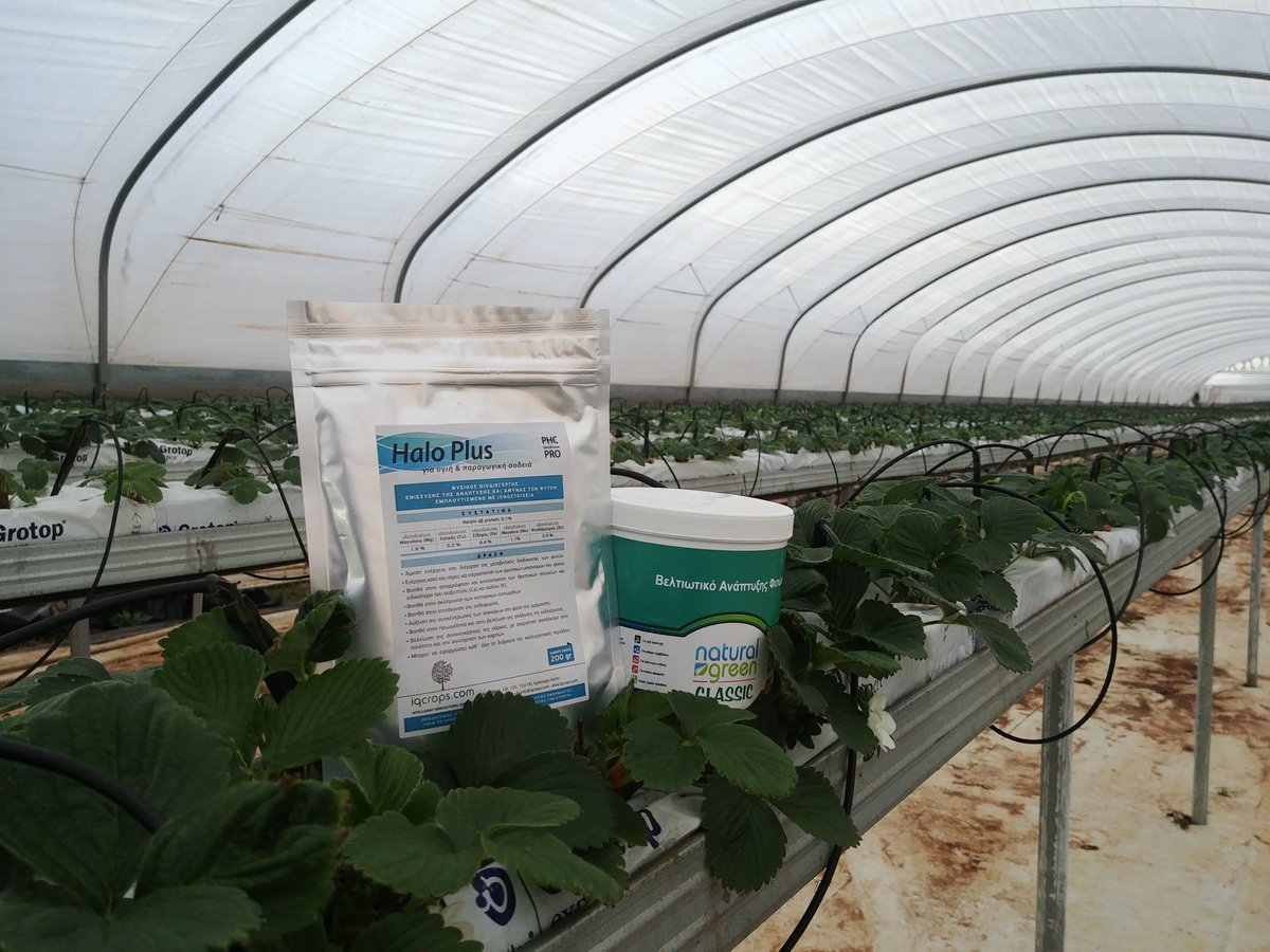 Find the way for healthy production via @iqcrops .....it'all about FOOD...<a href="/MyUltraLife/">Christos D. Katsanos - Chevalier de l'Imaginaire</a> @iqcrops <a href="/E_Drimtzias/">Evagelos Drimtzias</a> <a href="/FraoulaBest/">FraoulaBest® Hydroponic Strawberry</a>