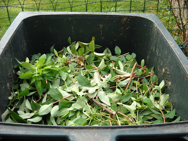 the_wormfarmer's tweet image. I wish a lot of people would begin worm farming reason being it has a number of benefits for this world...  #howt...