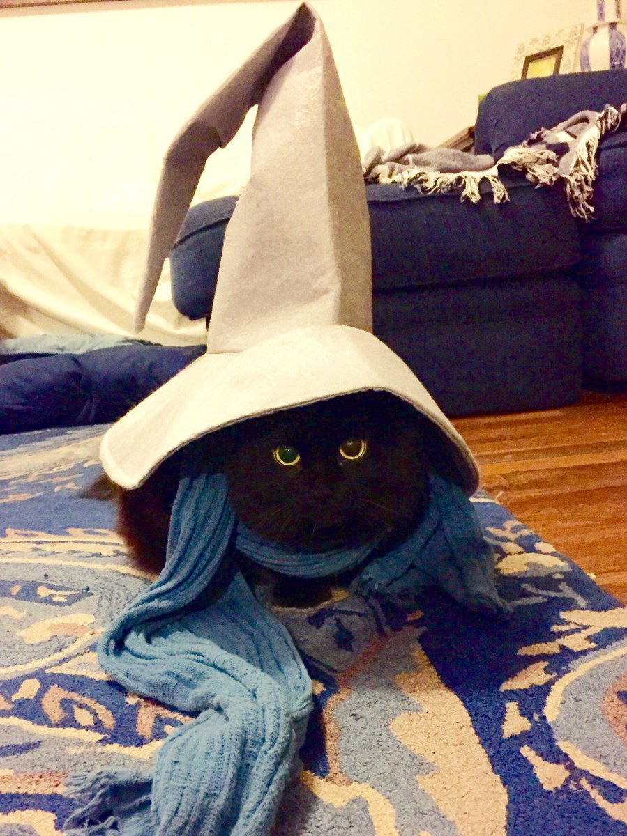 TrustAnimals's tweet photo. Black Mage https://t.co/mqrAtZz6cJ https://t.co/HHzdVtL6oc