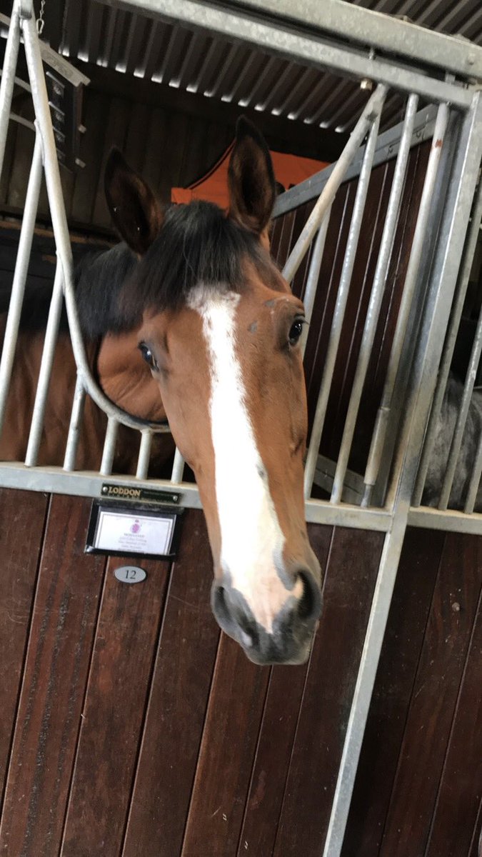 bridgeandrews's tweet photo. How lucky are @harryskelton89 and myself to have this little man in our lives. Given us two massive days! Thank you Mo #mohaayed #countyhurdle #betfairexchangetrophy https://t.co/hlOAcPtQqt