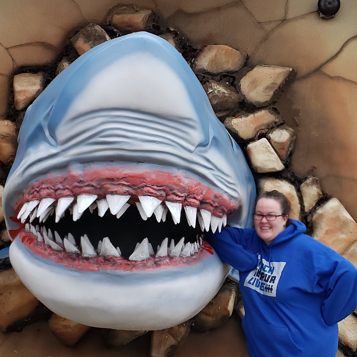 msmooneymath's tweet photo. #top3favoriteanimal #whitesharks #hadtostop https://t.co/vAki9muyLy