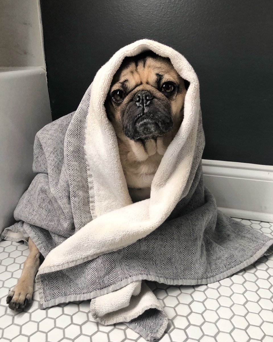 Avoiding my relatives at all costs