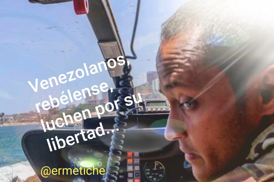 Palomino Vergara 🇻🇪 tweet media