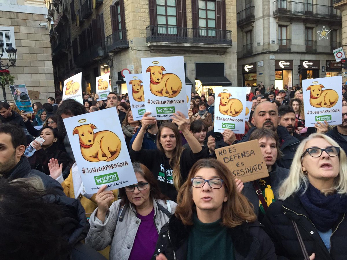 AnimaNaturalis's tweet photo. Cientos de personas estamos pidiendo #JusticiaParaSota frente al Ayuntamiento de Barcelona. Los tiempos han cambiado, ahora LOS ANIMALES IMPORTAN. https://t.co/nOVPaXoZOJ