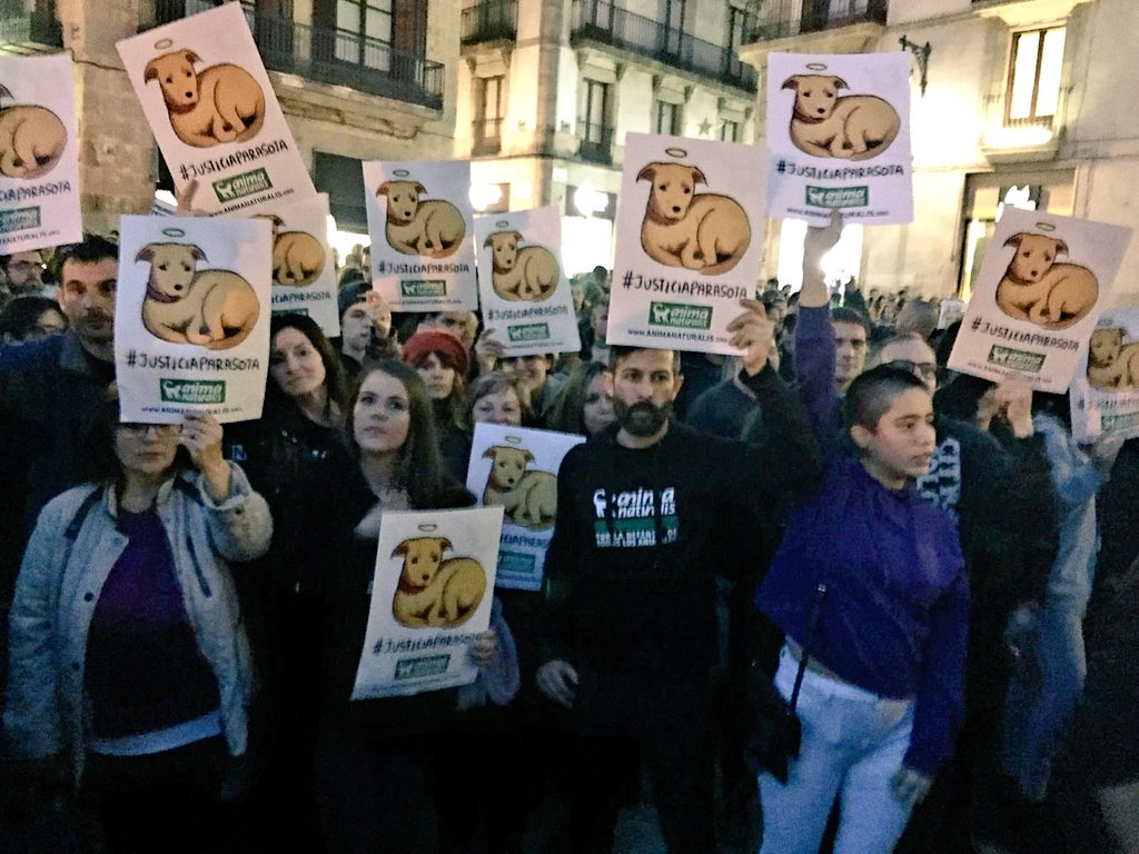 AnimaNaturalis's tweet photo. Cientos de personas estamos pidiendo #JusticiaParaSota frente al Ayuntamiento de Barcelona. Los tiempos han cambiado, ahora LOS ANIMALES IMPORTAN. https://t.co/nOVPaXoZOJ