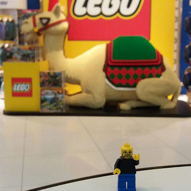 FamousBrick's tweet photo. #SteveJobs &amp; 🐪 
#FamousBrick https://t.co/n6gBpFbLxp https://t.co/Dv4GGTD5UW