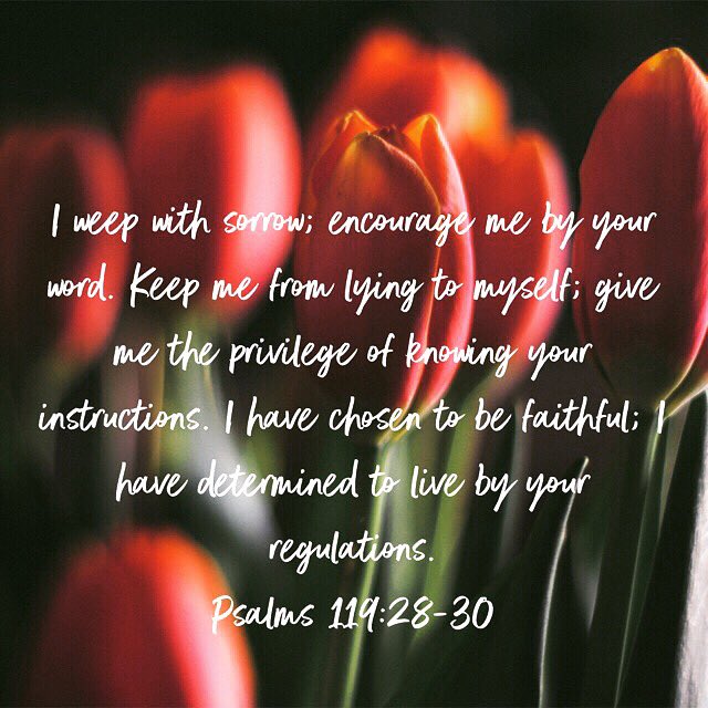 CyanPatterson's tweet photo. Did you know that you can lie to yourself? We can choose to believe something all we like, but the answer to seeing the truth is knowing His instructions. We can’t however pretend His instructions (about anything) don’t exist, or don’t apply to us.#thankfulfortruth #gracerevealed https://t.co/58L1unzJgu