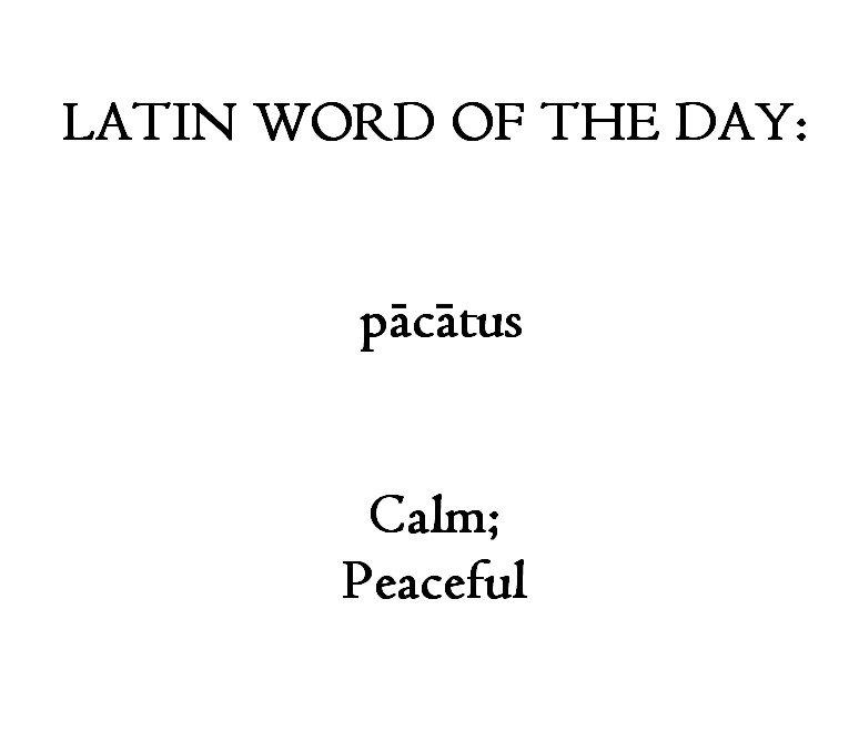 whencyclopedia's tweet image. #Latin #Words #Languages