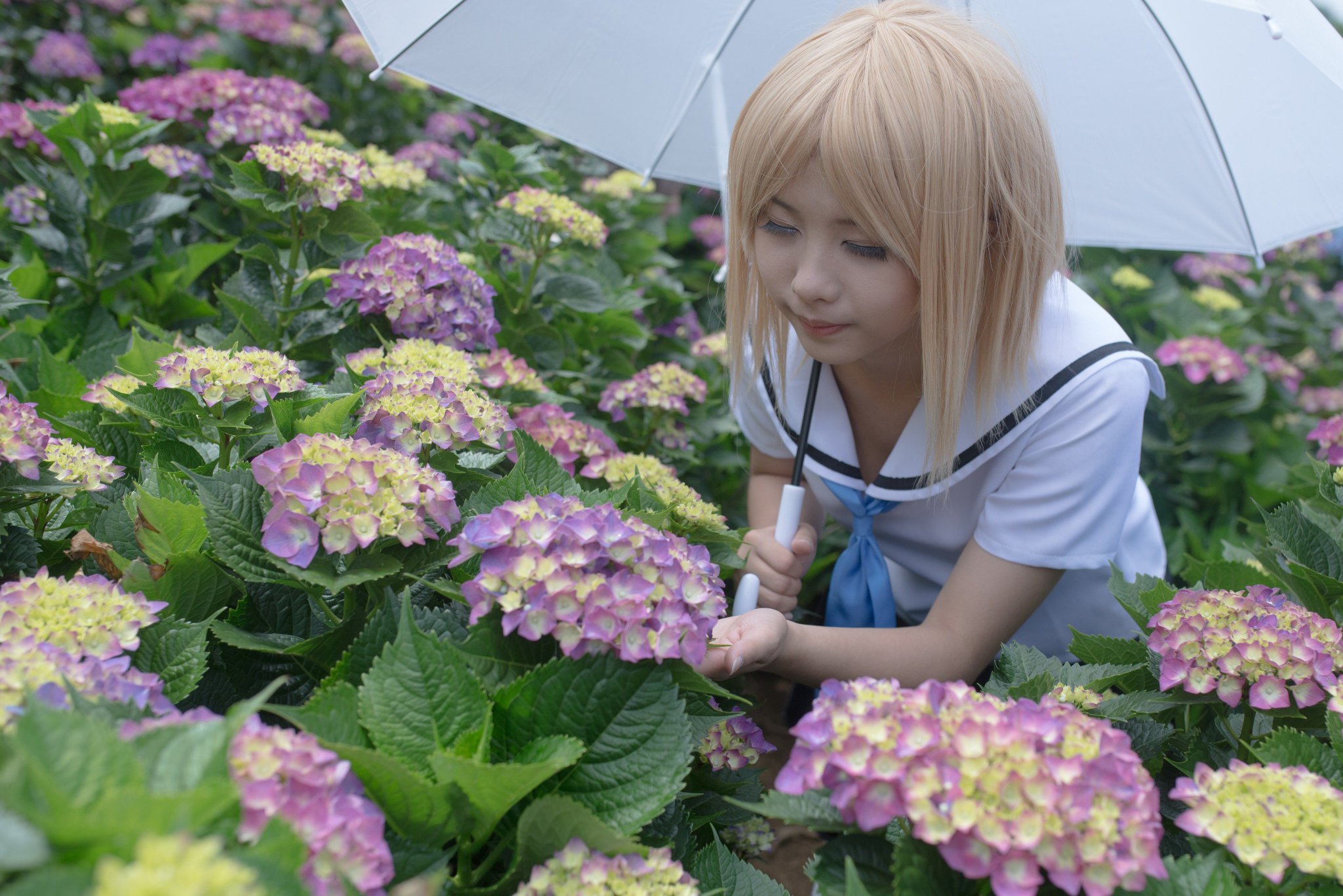 露西ルーシィ 夏目友人帳 多軌透 たきとおる Photo 大熊 露西ルーシィ 夏目友人帳 多軌透 たきとおる Photo 大熊