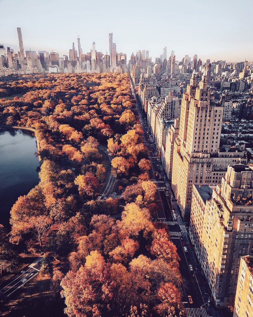 Central Park, New York