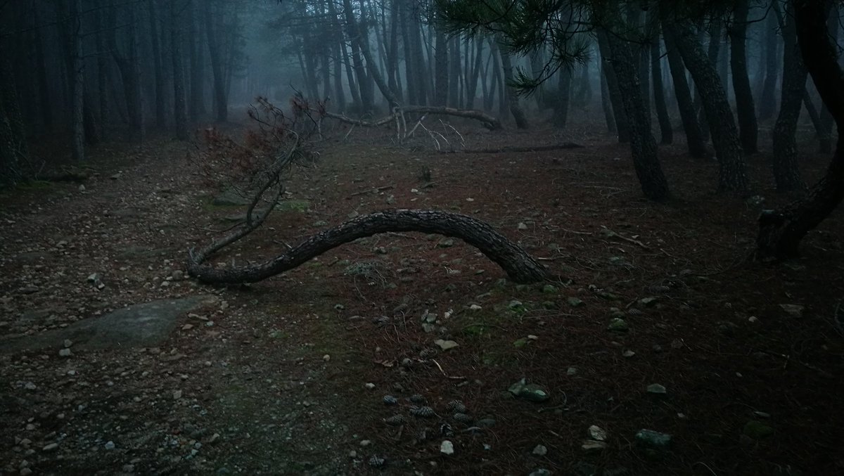 Pablorblanco_'s tweet photo. Qué bonitos son los paisajes con niebla. https://t.co/b876vuoR5w