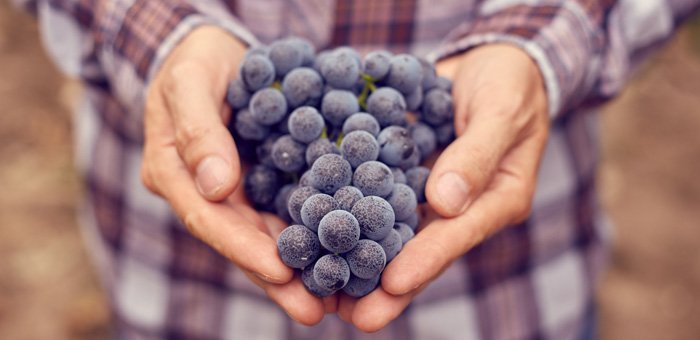 ILOVEWINE_es's tweet photo. .Descubre #bodegas con actividad enoturística en la #Rioja -> https://t.co/ZTmW0dIHPQ

#VinoRioja #VinoTurismo #Enoturismo #WineLovers #CataMaster https://t.co/VE6X2WR2QZ