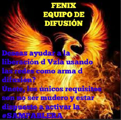 vetehugo's tweet photo. Quieres ayudar a #Venezuela?  Unete a Fenix, y colabora con la difusión de la #Sampablera, el #Carrazo. Pueden crear su grupo de 5 que no sean chaburros ni MUDeros, y empieza a apoyar todo lo que sea útil para nuestra lucha! https://t.co/6spODT7V10