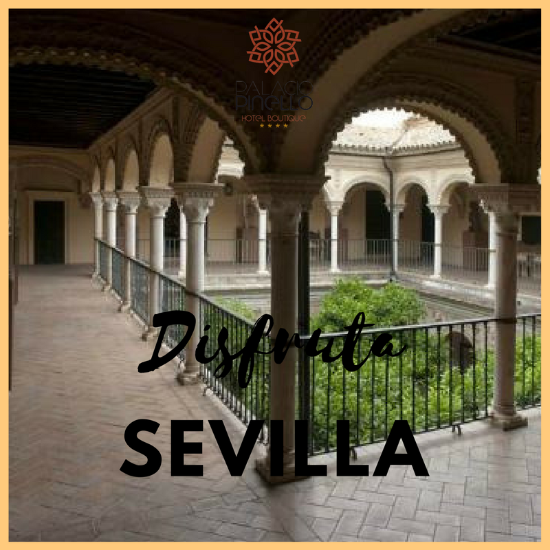 PalacioPinello's tweet photo. Si reservas desde nuestra página web tendrás el mejor precio garantizado. 

If you book from our website, you will have the best guaranteed price #sevilla #seville #hotel #turismo #tourism #discount https://t.co/EbrR3Dl0Se https://t.co/M7B1Yz9C97