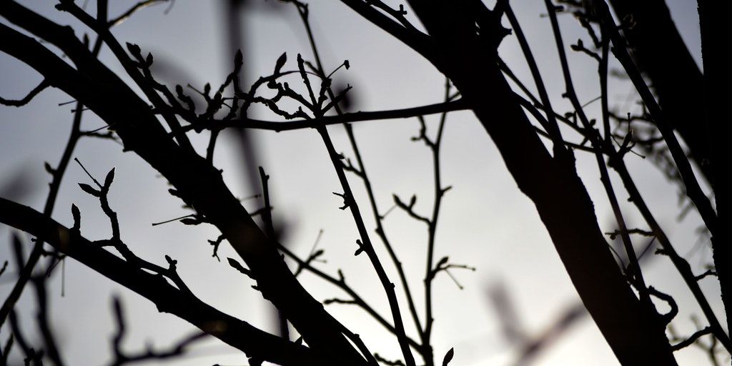 Here's Neil Patel's "secret playbook" with hacks to grow #traffic and #sales. from My Secret Playbook: 28 Hacks Guaranteed to Grow Your Traffic and Sales at Neil Patel 🔏 💴 📈 buff.ly/2PNZ2ou #printondemand