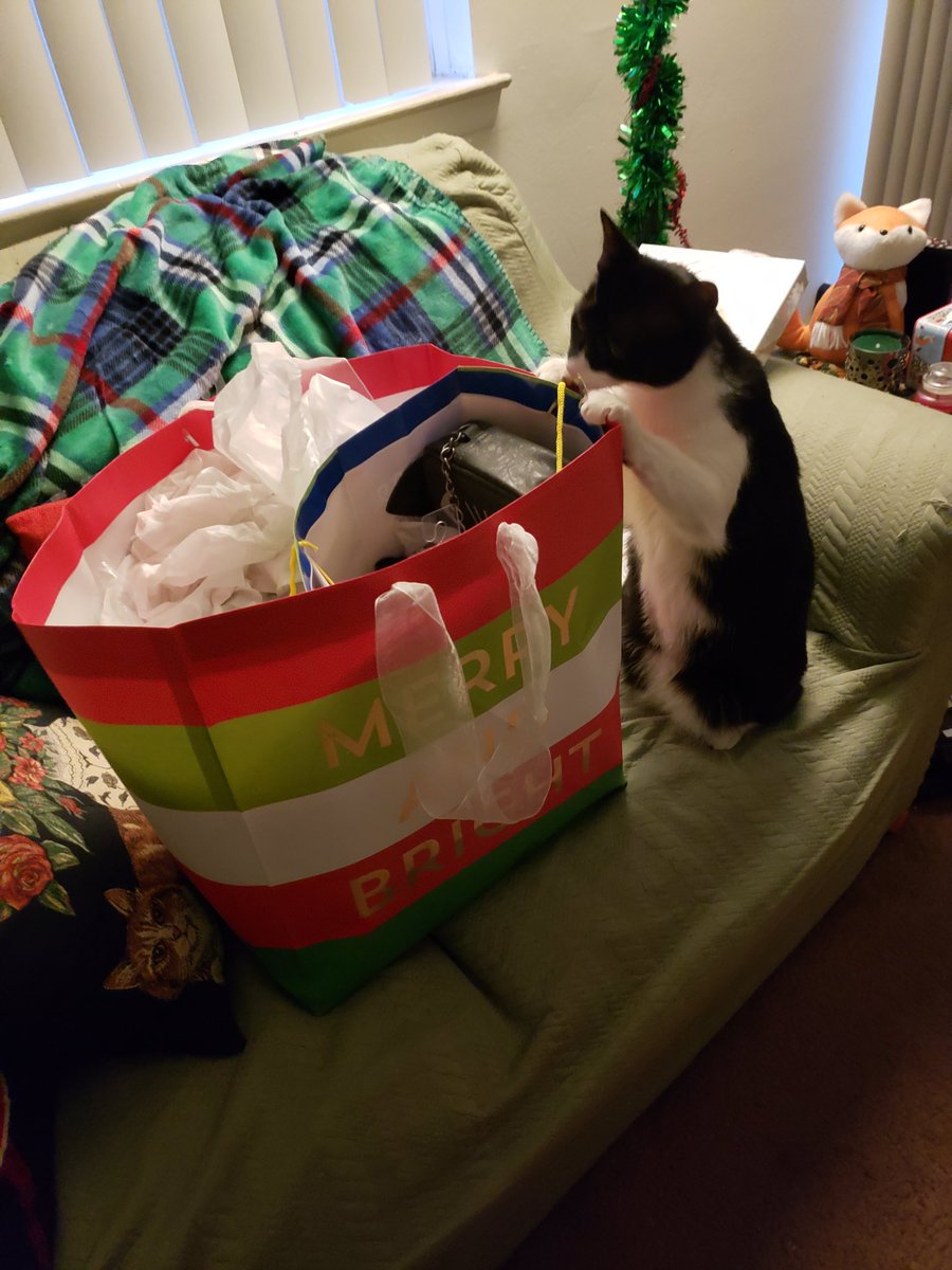 RuralFox tweet media