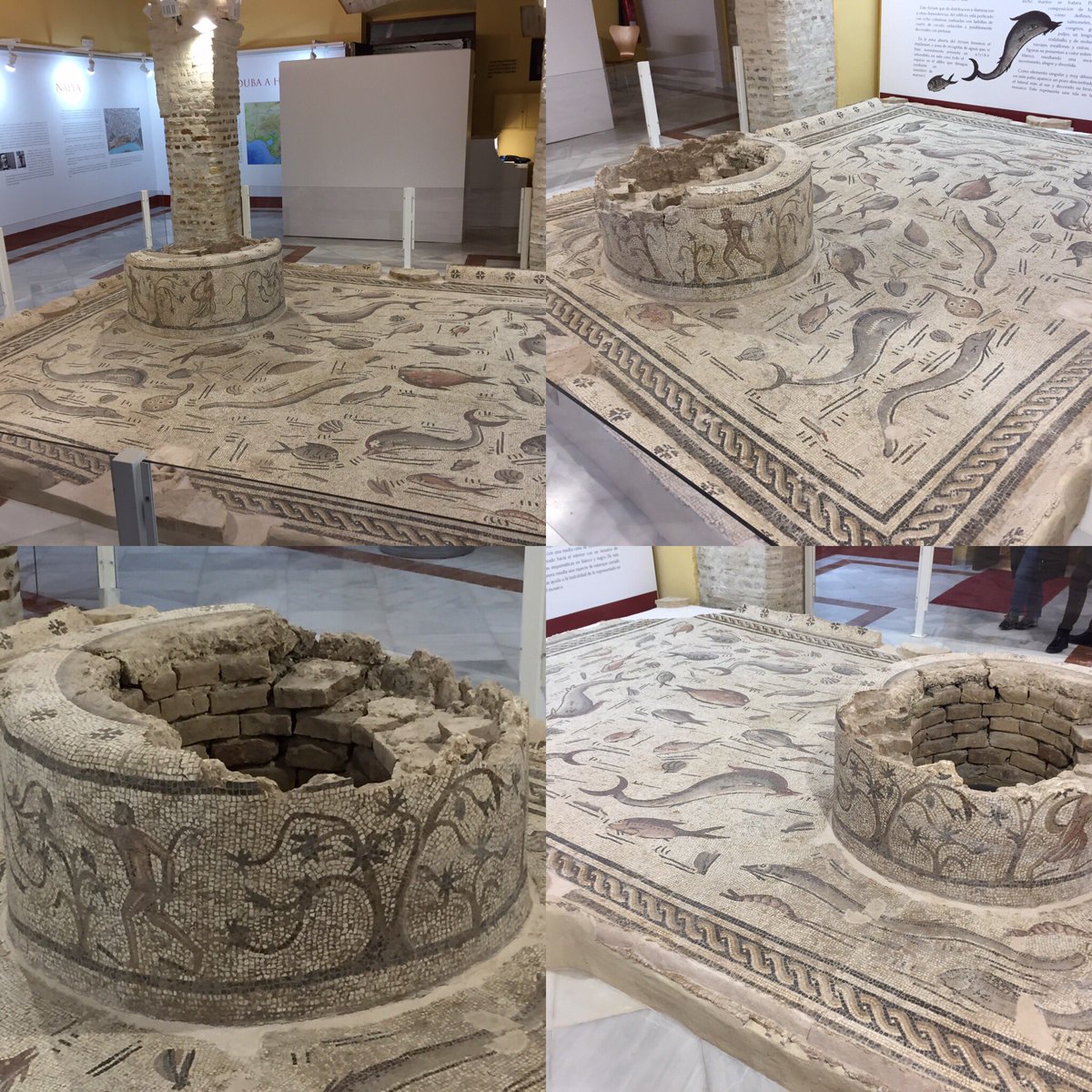 alvarovegacid's tweet photo. #Navea, la próspera, mediana, estratégica, comercial, bulliciosa y alegre ciudad romana en la orilla del Baetis (Guadalquivir) entre la capital de la Baetica, Corduba (#CórdobaESP) y e Hispalis (#Sevilla), en el Centro de Historia Local de #Cantillana, con su mosaico singular. https://t.co/egMrIDL604
