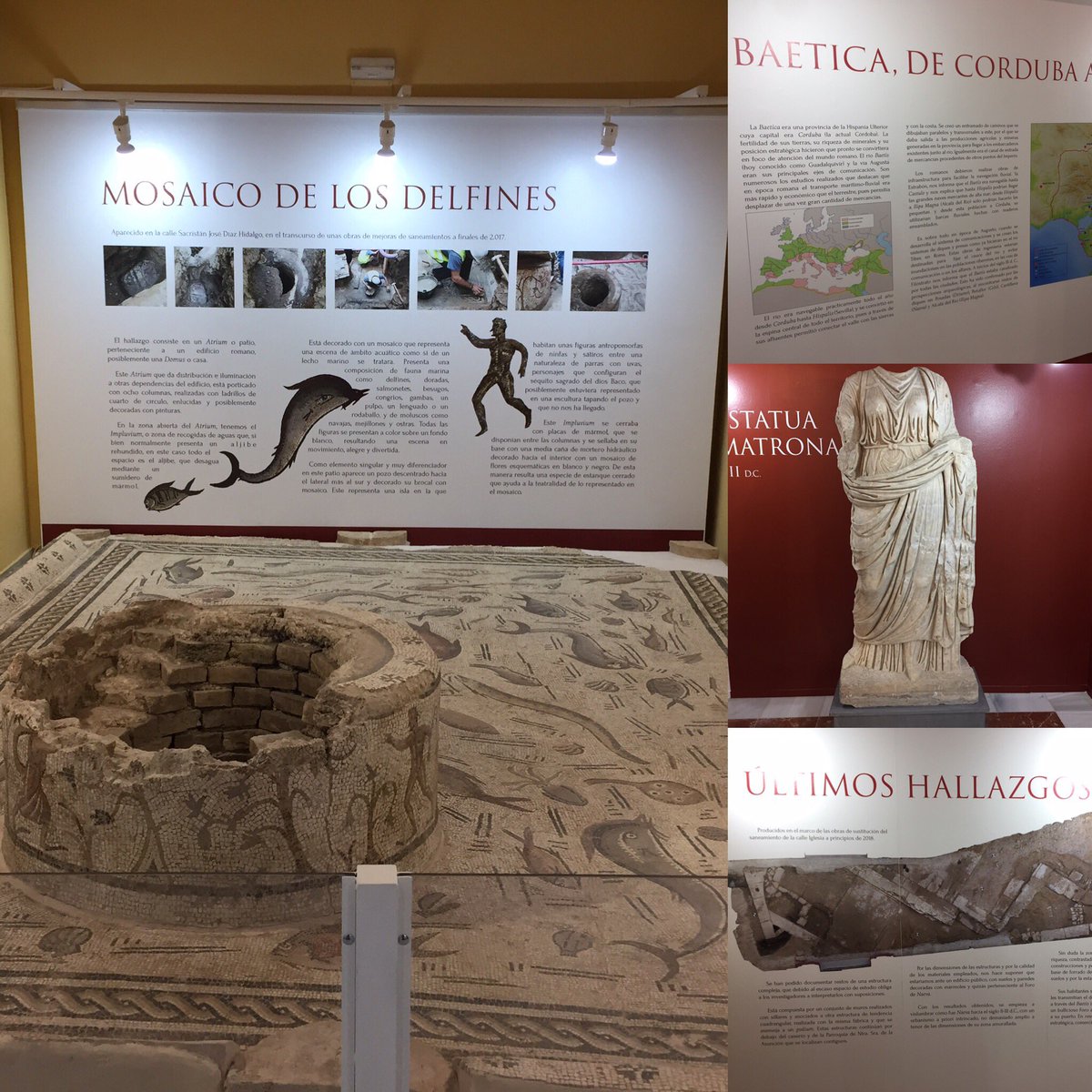 alvarovegacid's tweet photo. #Navea, la próspera, mediana, estratégica, comercial, bulliciosa y alegre ciudad romana en la orilla del Baetis (Guadalquivir) entre la capital de la Baetica, Corduba (#CórdobaESP) y e Hispalis (#Sevilla), en el Centro de Historia Local de #Cantillana, con su mosaico singular. https://t.co/egMrIDL604