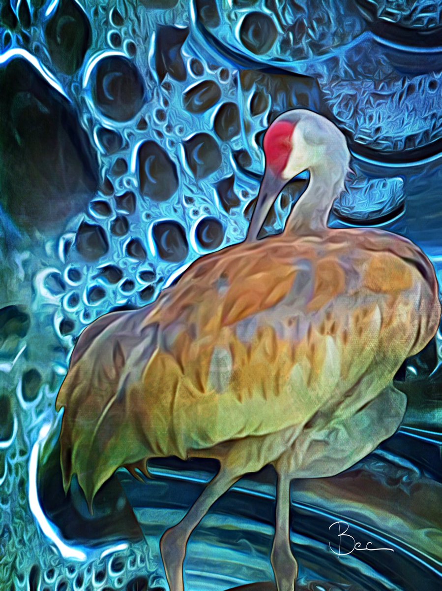 ArtistNamedBec's tweet image. When a passenger, create
#icolorama #distressedfx #collage #photoart #iphonephotography