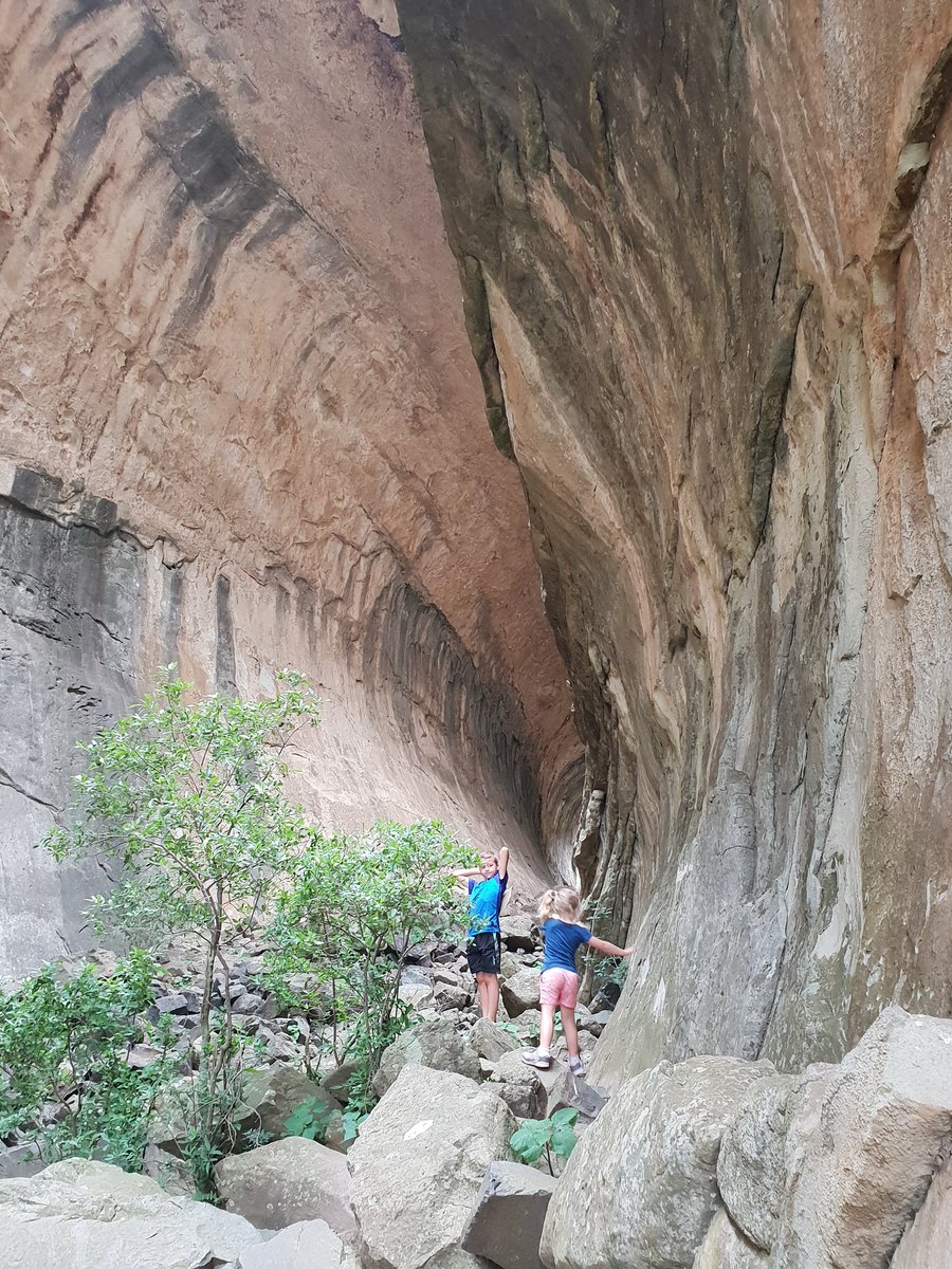 Safarigirl's tweet photo. Heading to Clarens this holiday? Make a trip to Golden Gate National Park for breathtaking scenery &amp; day walks suitable for young ones. Eco-ravine trail. @nandimgwa @SANParks https://t.co/bk7tf56q36