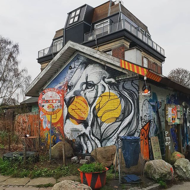 EsmeBurden's tweet photo. Watch out Banksy... 👀🖌🦁
·
·
·
#copenhagen #streetart #denmark #urbanart #visitcopenhagen #streetarteverywhere #københavn #graffiti #visitdenmark #graffitiart #cphpicks #streetartistry #streetartphotography #streetartist #copenhagenart #streetart_dail… https://t.co/6YHgmynXor https://t.co/AUVa5ifb2n
