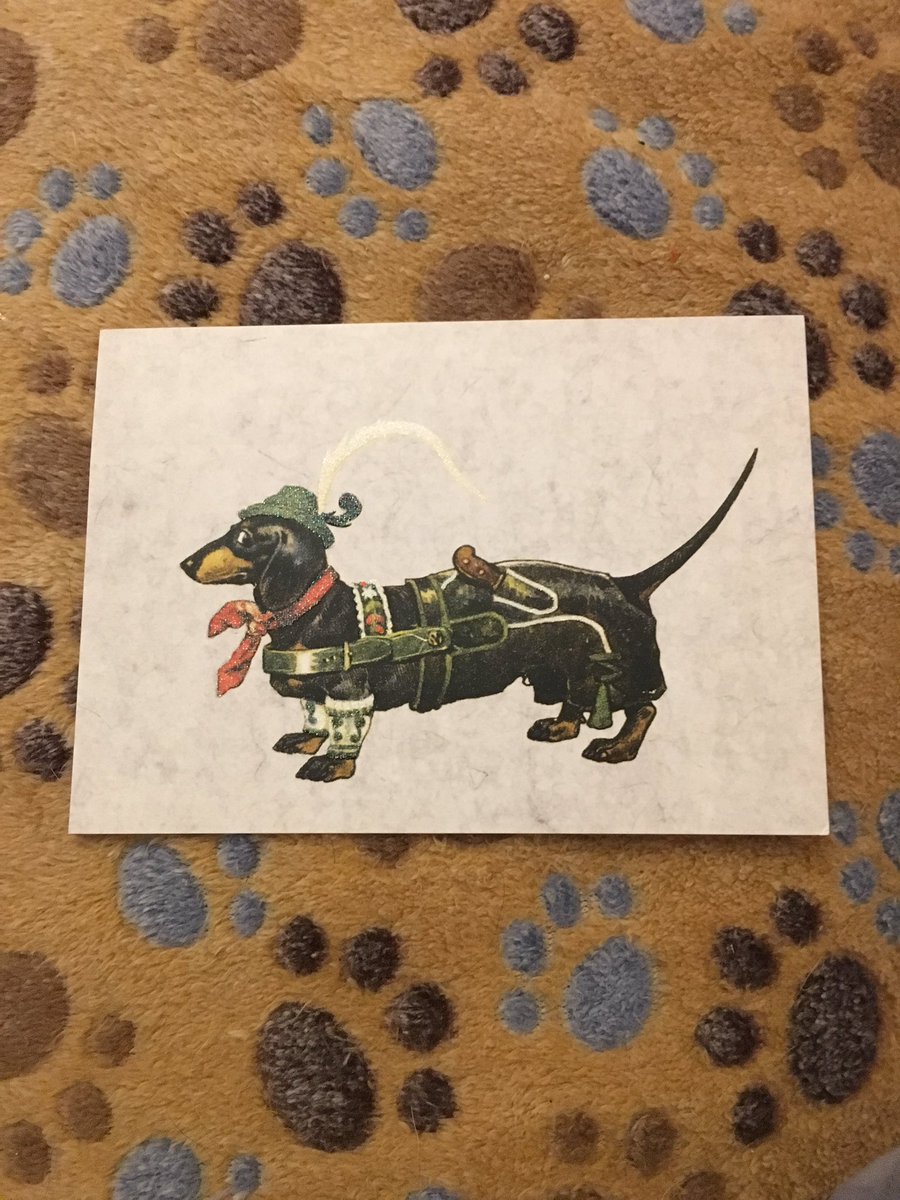 DANKE! Ich freu mich dolle !! <a href="/der_pippo/">Der Pippo</a>