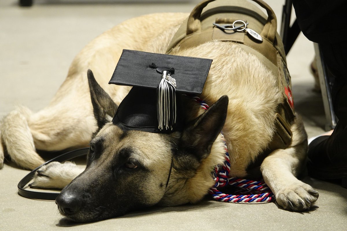 TAMUSanAntonio's tweet photo. Dreaming of my big acting gig... #JagGrad18 https://t.co/GK7Wl6JGFR