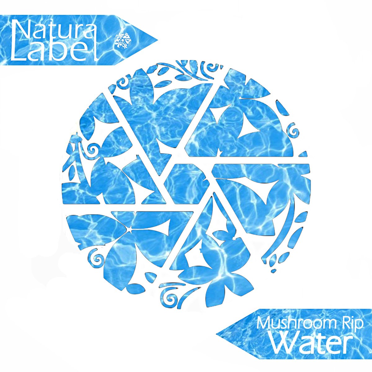 Artist: Mushroom Rip
Title: Water
Catalog: NR65
#housemusic #housemusicallnightlong #techhouse #deephouse #naturalabel