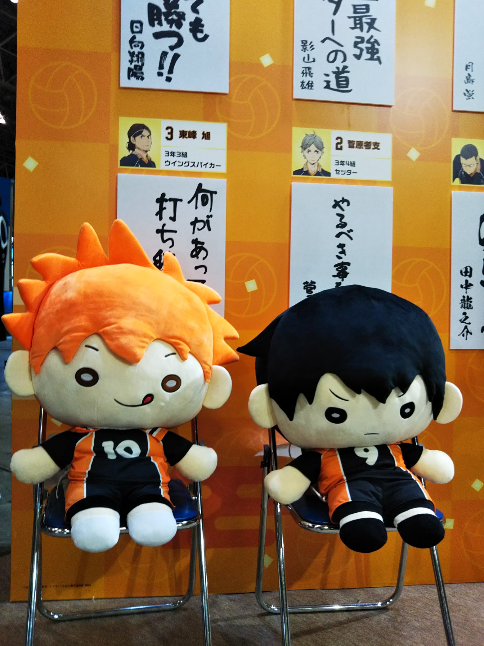 TOHO animation STORE على X: TOHO animation STORE على X: