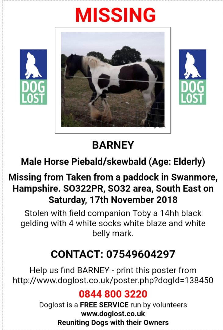 MissingPetsGB's tweet photo. 🐎🐎 STILL #MISSING male horses Toby and Barney have been #stolen From a paddock in #Swanmore #SO32 on 17th November
They are still #missing. Please RT
#hampshire https://t.co/kSjazzAcrh