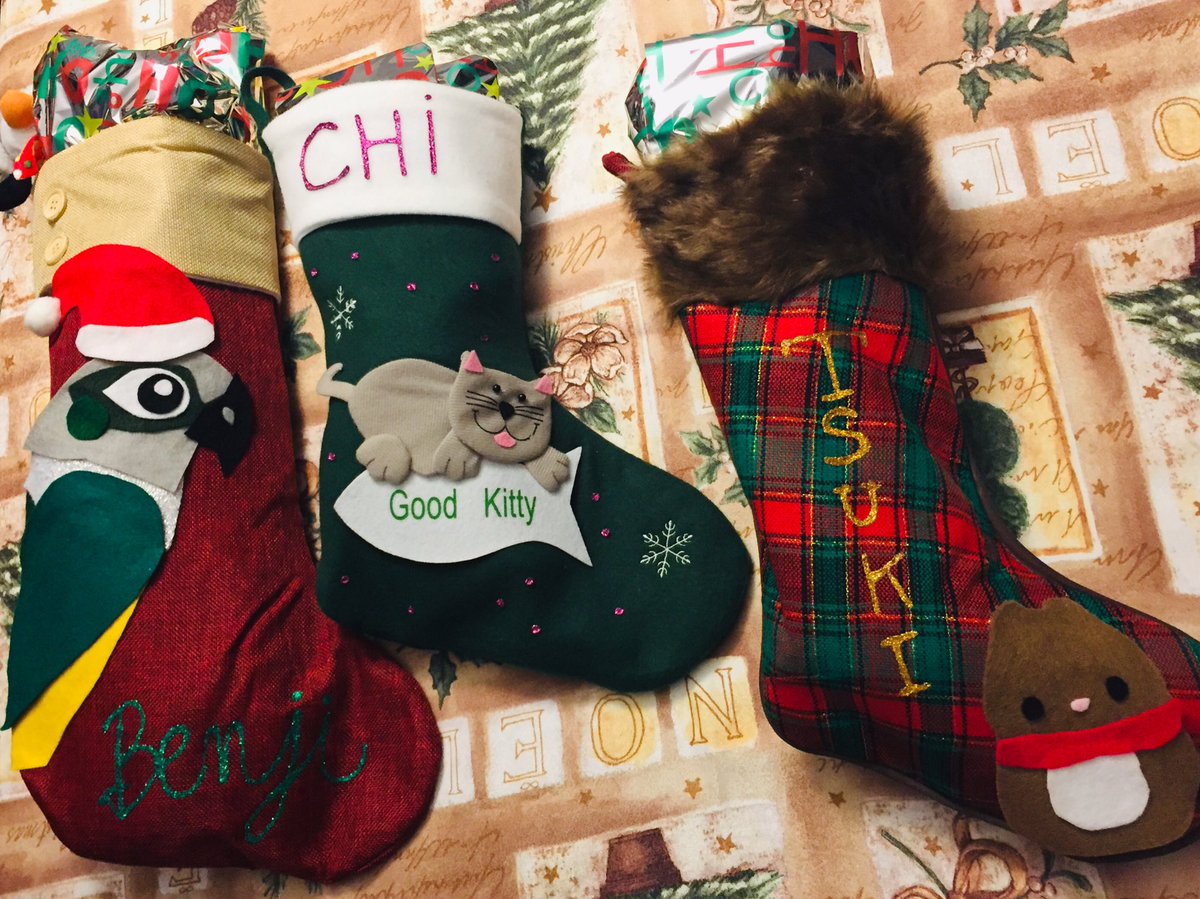 cat christmas stocking petsmart