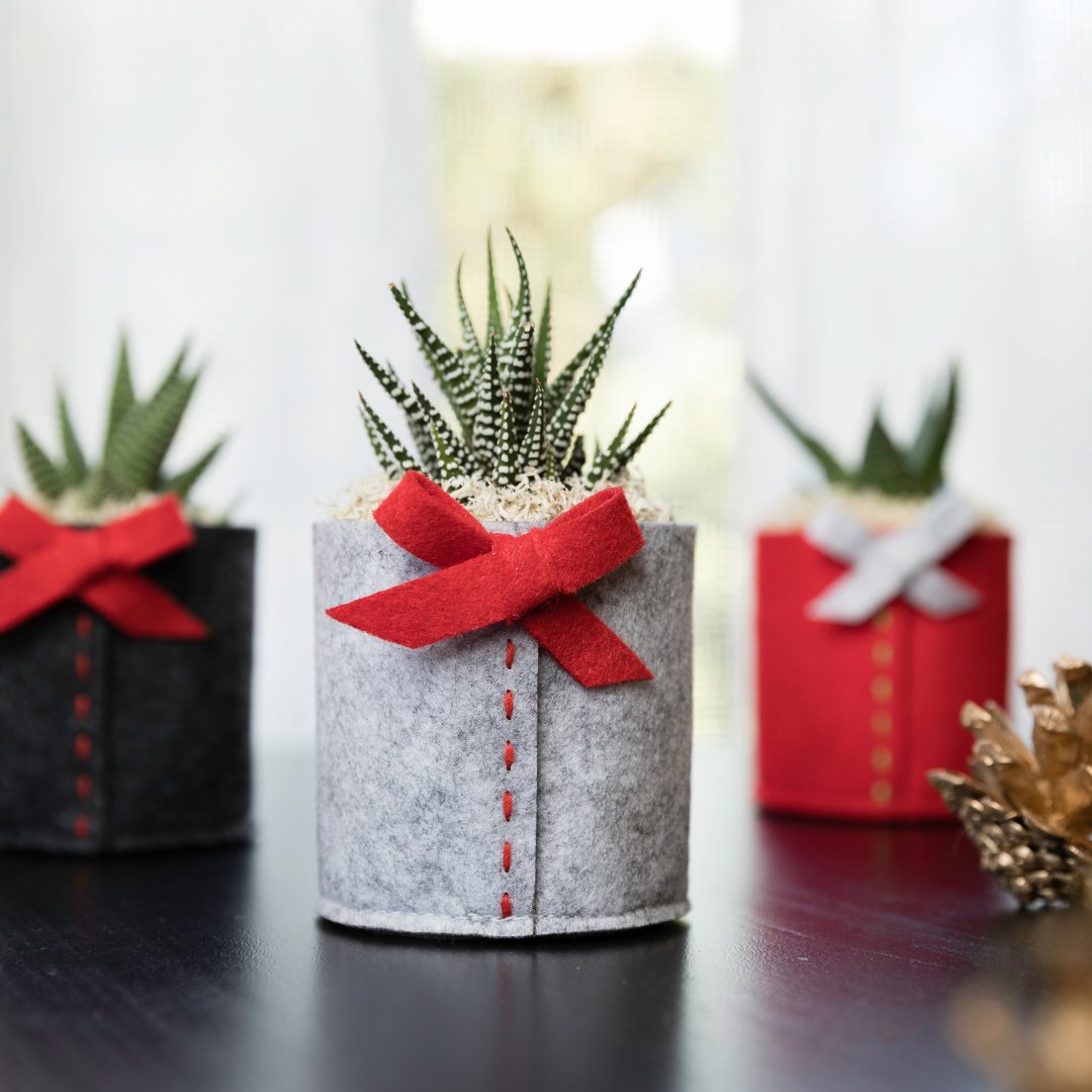 LiveTrends Design tweet media