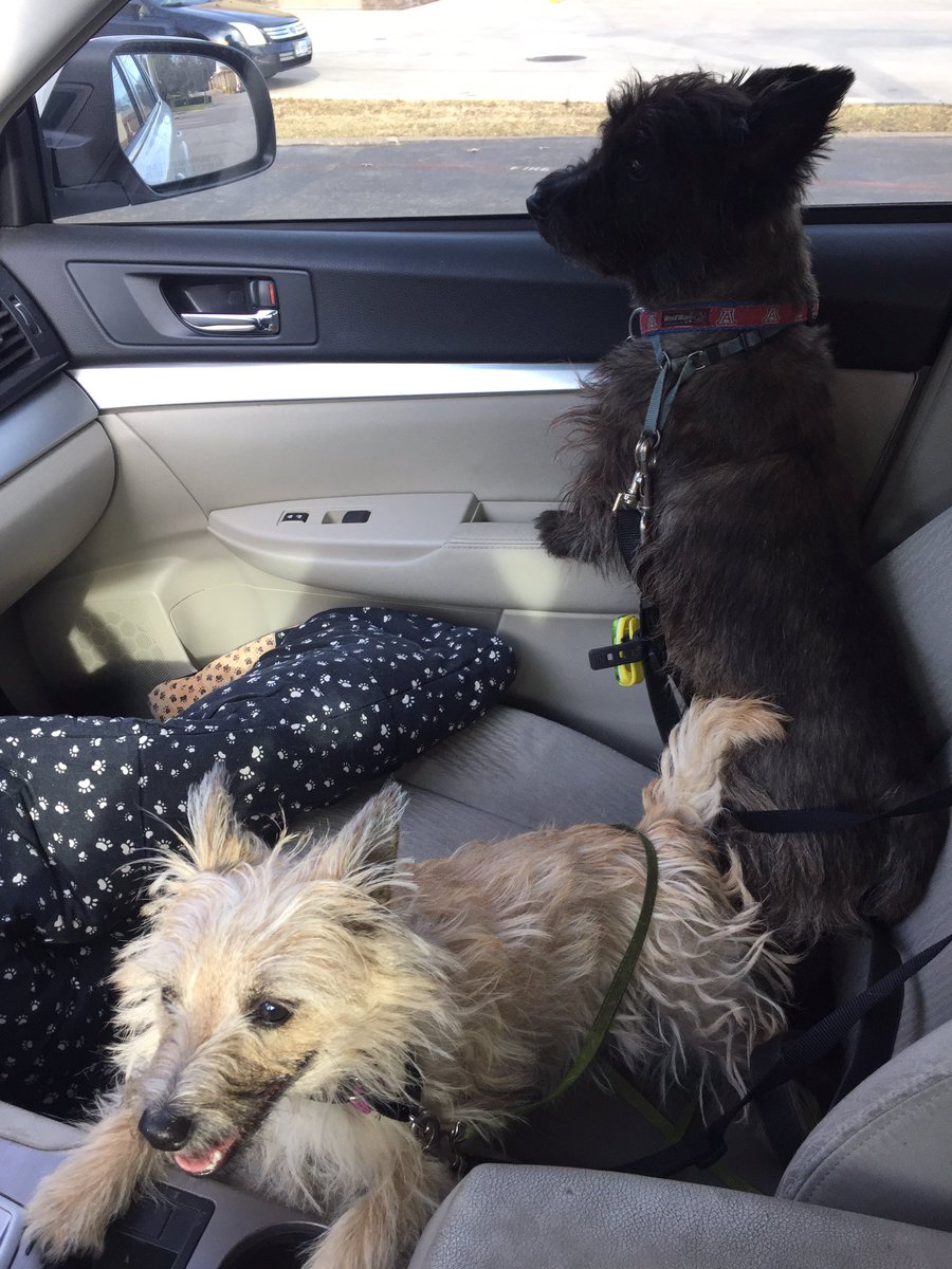 harrydiscovers's tweet photo. Vacation time! #bestcareanywhere @SalMayDiscovers @PaulEM53 https://t.co/8e7BoTacpK