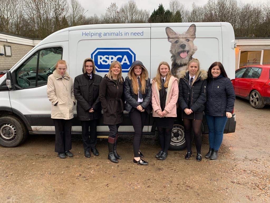 Thank you to everyone who kindly organised a shoebox appeal for our Animal Centre this Christmas or donated money. As you can see we have been inundated by your generosity! Merry Christmas from all our staff, volunteers and animals 🎄🐶🐱🐰🐹🐭 #rspca #shoeboxappeal #chesterfield