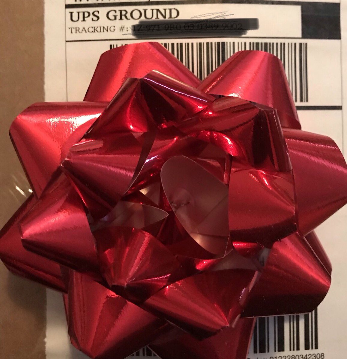 SraHertel's tweet image. Love that our @UPS delivery guy leaves bows on our packages! #SpecialDelivery #ClassyTouch #MerryChristmas⁠