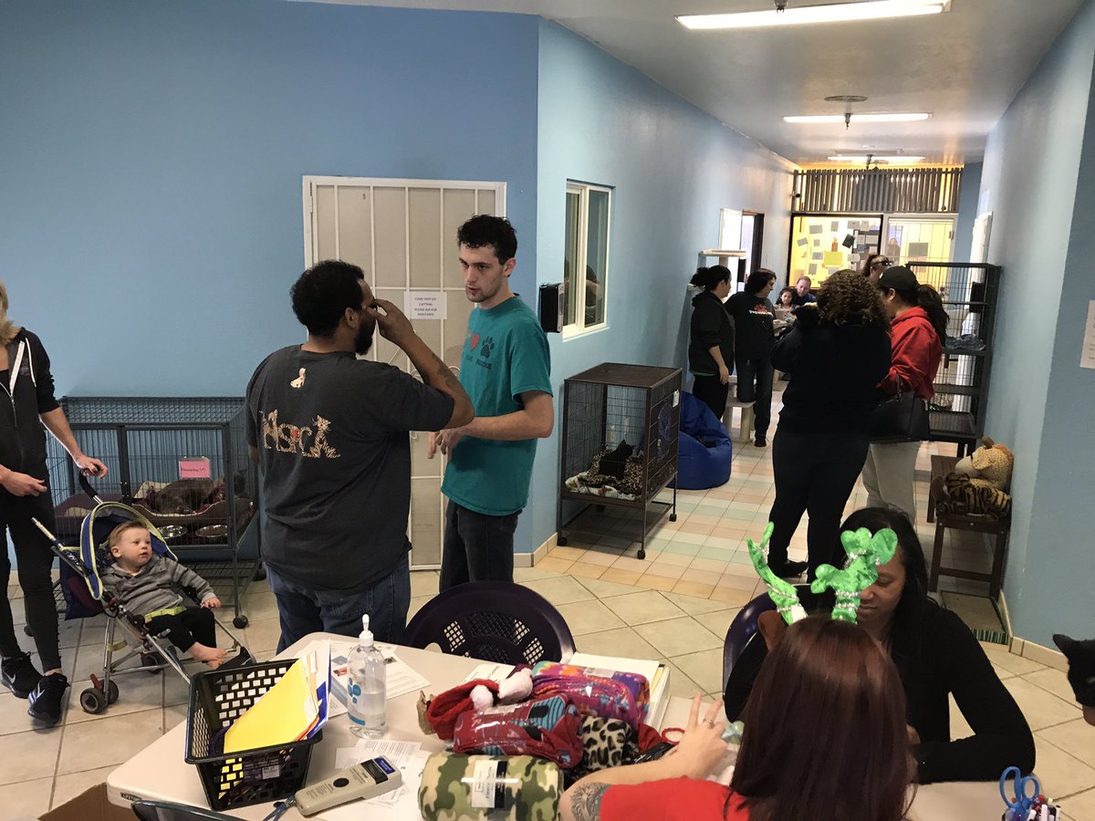 NevadaSPCA's tweet photo. The staff started the day with secret Santa swap and now we are all waiting for Santa to arrive! Come on down today and have hot chocolate and take pictures to last a life time! https://t.co/wvhSjdrGOq