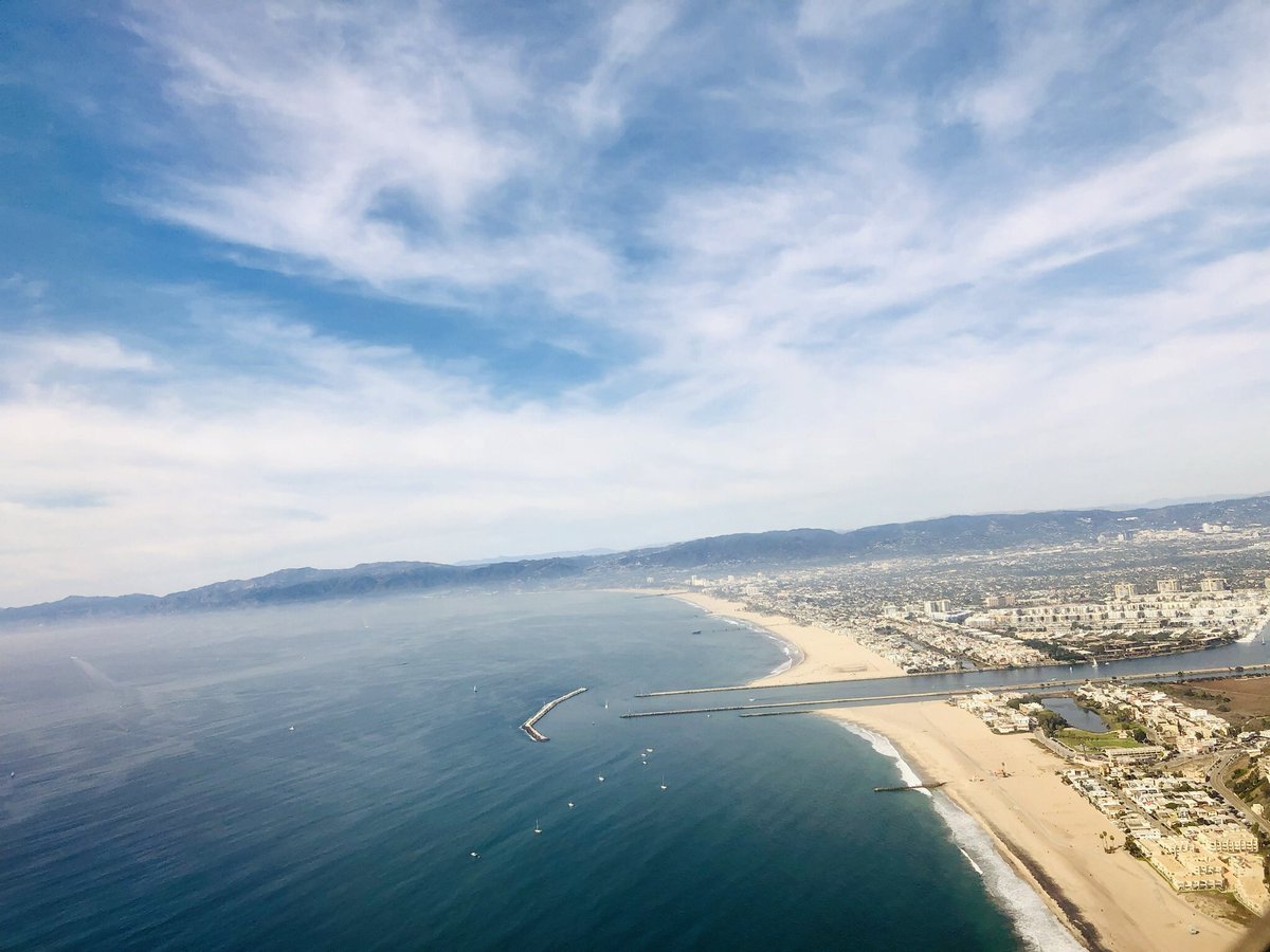 Samara B. tweet media