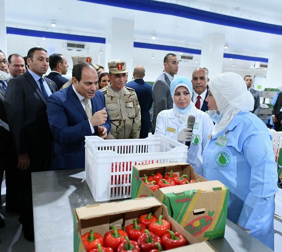 AlsisiOfficial's tweet photo. افتتاح المشروع القومي للصوب الزراعية بمدينة العاشر من رمضان صباح اليوم https://t.co/w41HeHrk5A