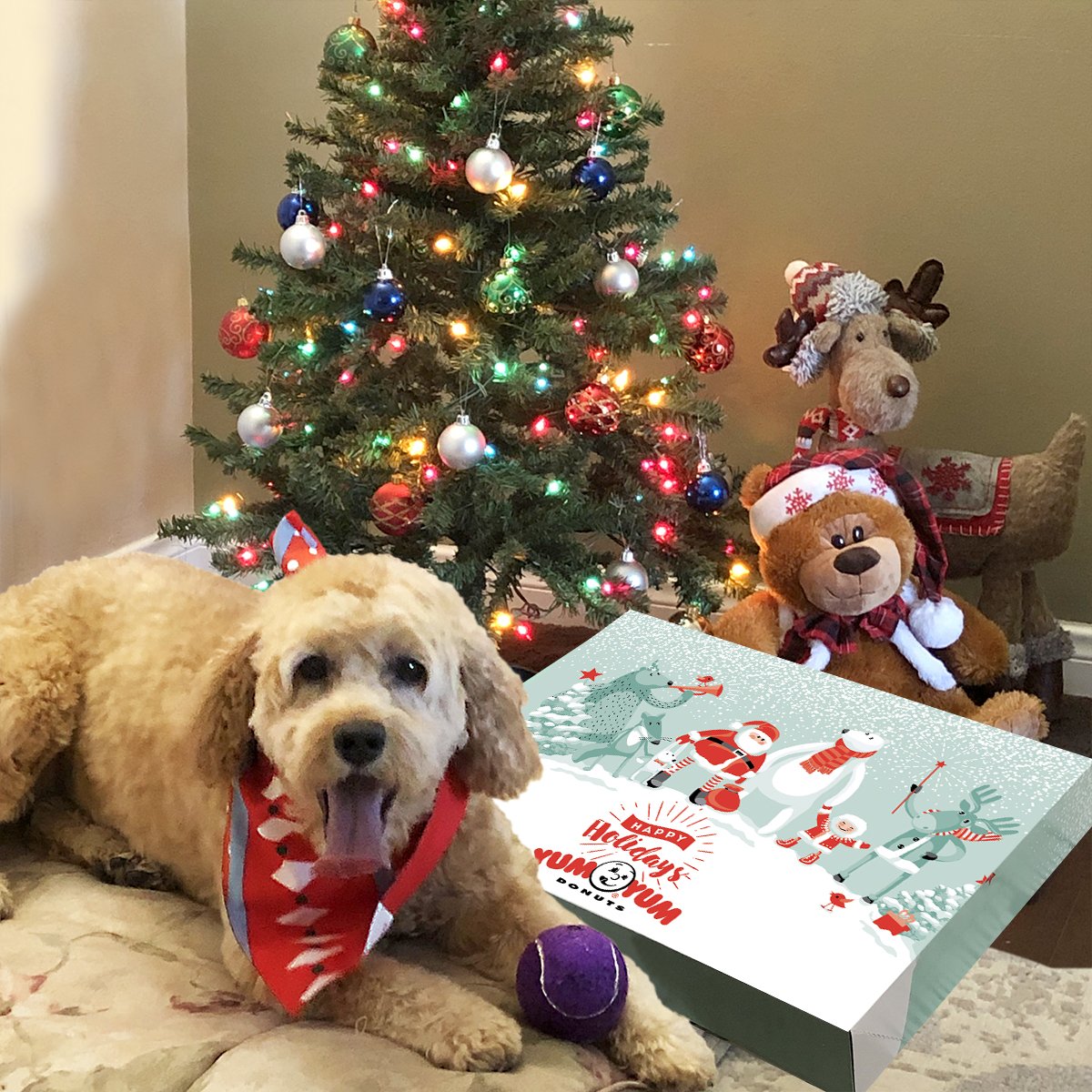 Even the dog knows that Yum Yum Donuts brings everyone together