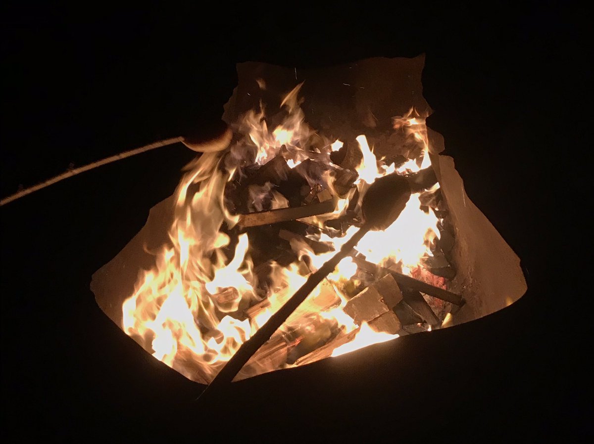 Anja Kaptein tweet media