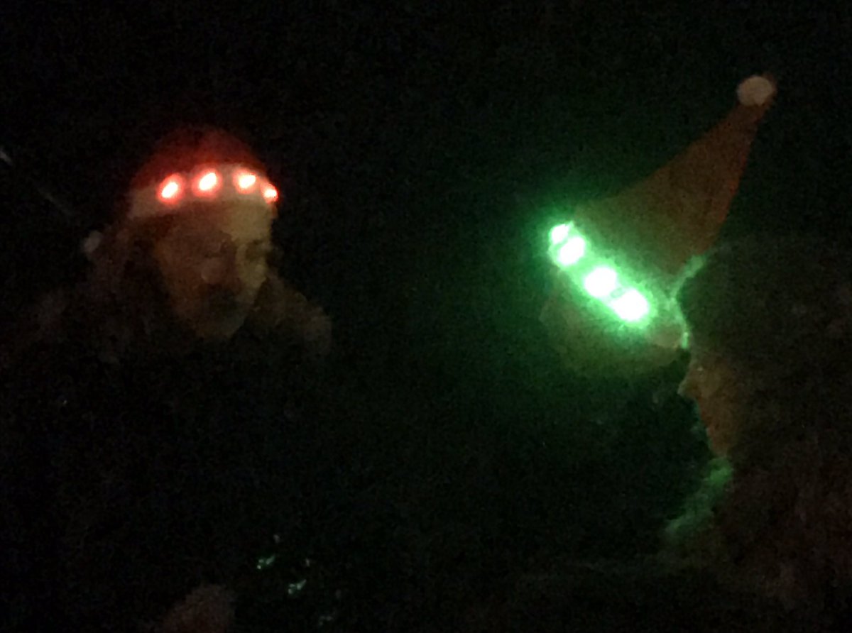 Anja Kaptein tweet media