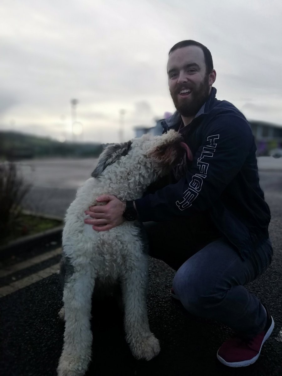 KieranM8982's tweet photo. Made a new friend today and yes it's the Dulux dog #dogsoftwitter #dogs https://t.co/1qvycaJzGj