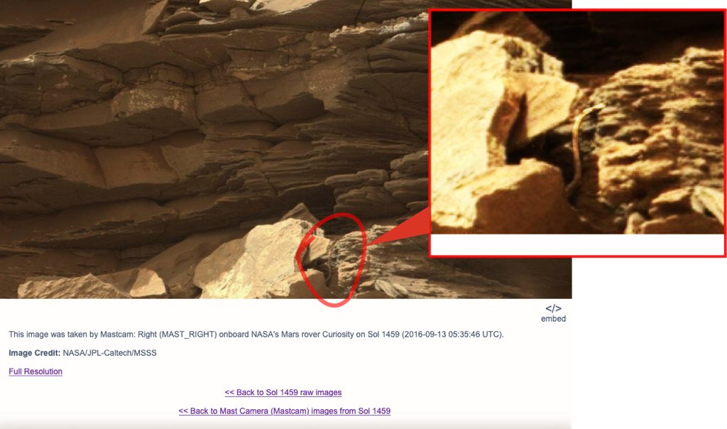 [Image: DvDiythXQAAqqhU.jpg]