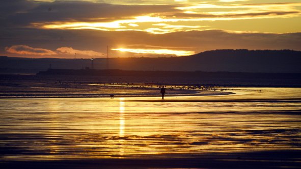 Tom Collins tweet media