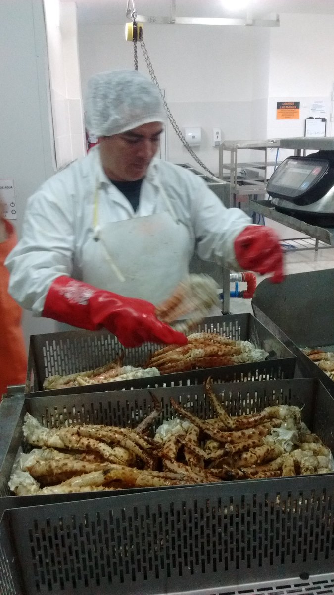 StephaneOceania's tweet photo. Producto 100% Chubut. Gracias a la municipalidad de Camarones, a la cooperativa eléctrica de Camarones,  y al gobierno provincial, sin ellos este sueño no habría sido posible.@arcionimariano @AwstinAdrian @AntonenaOscar @ClaudiaLoyola_ @deluca_de https://t.co/ahk8O0t0HO