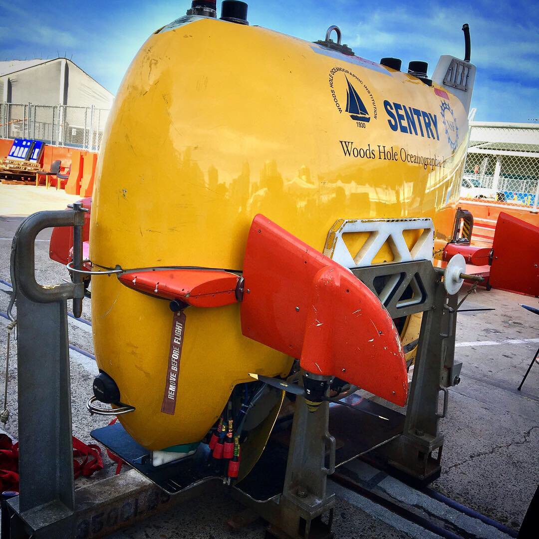 Blue_Linked's tweet photo. Couldn’t resist!! How often is WHOI’s R/V Atlantis, Alvin Submersible and Sentry AUV in your home port!! Thanks for the hospitality!! #oceanography #whoi #scrippsinstitutionofoceanography #alvinsubmarine #sentryauv #bluelink #auv #ctd #hydrothermalvents #oceanscience https://t.co/K6CZaiHsAn