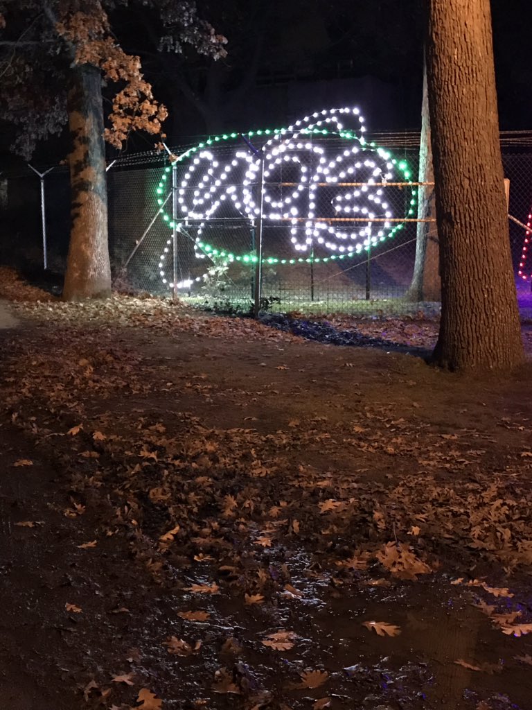 deb_widner's tweet image. Awesome Zoom Lights @PotawatomiZoo   Cold, but definitely worth the trip.   Nice evening with @IceAndStretch